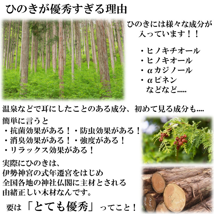ところ天突き 木製 桧 国産 ところてん 木型 押し棒 天然木 ヒノキ サイズ 外寸 約 28x5x3.8cm 日本製 ギフト プレゼント
