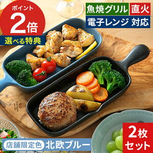 魚焼きグリルプレート おしゃれ 1枚 2枚 セット【 店舗限定カラー 】グリルパン ハーフ ハーフグリルプレート グリルプレート 耐熱皿 陶器 国産 魚焼き 直火 魚焼きグリル ハーフサイズ グラ
