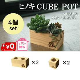 楽天市場 多肉植物 鉢 花 ガーデン Diy の通販 楽天市場 多肉植物 鉢 花 ガーデン Diy の通販