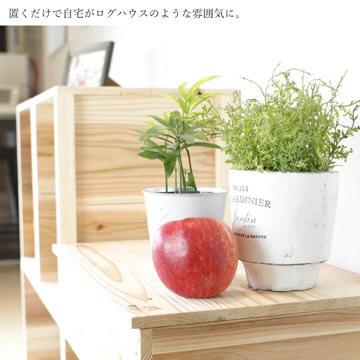 楽天市場】【LINEお友達登録で300円OFF】節穴を楽しむ杉のりんご箱 