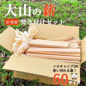 【2箱同時購入で1箱プレゼント】キャンプ薪 焚き付けセット 60サイズ 乾燥 杉 桧 キャンプ ソロキャンプ ソロキャン 小割薪セット 焚き付け 薪 端材 カット済み 燃料 薪ストーブ 焚火 焚き火台 かんなくず 持ち運び コンパクト 送料無料 マキ