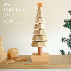 yLINEo^300~N[|zk̉ pXeJ[̖ؐNX}Xc[31cm  ؐ IuWF k  VR C { O[WCeA ݃J[ e[u ~