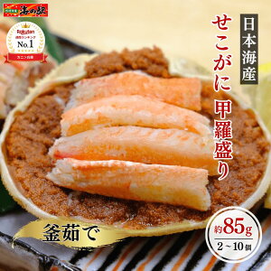 yV P2{z_yV1ʁ^  b {CY ނg 85g 2~10  ؂ Kj  Jj I JjX go O Mtg  Ⓚ sv