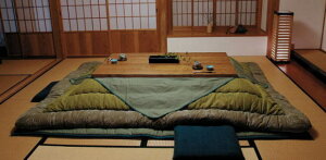 こたつ布団 KF-181 サロン付き 正方形 80〜90cm角こたつ用 掛・敷 セット 然染料 草木染め 青浅黄 緑 グリーン 厚手 国産 日本製【smtb-KD】