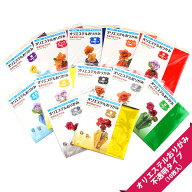 【新素材おりがみ】オリエステルおりがみ 不透明タイプ（10枚入）【折り紙/オリエステルおりがみ/新素材/…