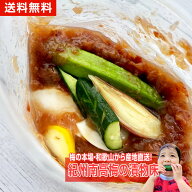漬物 梅干し つぶれ梅 ねり梅 浅漬けの素 送料無料 紀州南高梅の漬物床 ぬか床 紀州南高梅 梅 梅どこ あ…