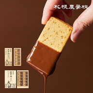 バレンタインチョコ クッキー 開拓の詩 三枚重ねチョコがけクッキー 札幌農学校 個包装 チョコレート 北…