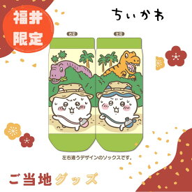 【海外販売NG】ご当地ちいかわ 福井限定(恐竜)「キャラットソックス」