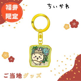 【海外販売NG】ご当地ちいかわ 福井限定(恐竜)「ダイカットキーホルダー(うさぎ)」