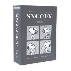 Xk[s[uubN^{bNX(V[gCh/O[)v