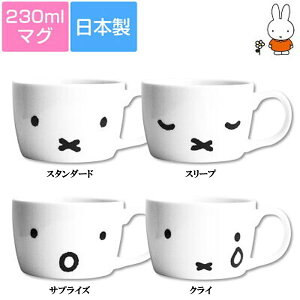 ~btB[uVvtFCXV[Y/}O(S4)v