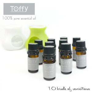 Toffy 100% sAGbZVIC(c8)