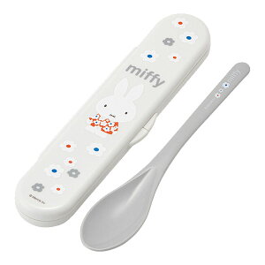 ~btB[umg[/R P[XtXOXv[v