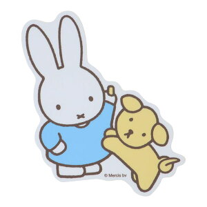 ~btB[u_CJbgrj[XebJ[(~btB[Ƃ pXe)v