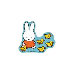 ~btB[uLN^[XebJ[(Aqƃ~btB[)v