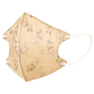 ~bL[}EXusDz̃}XN (lp) 10v