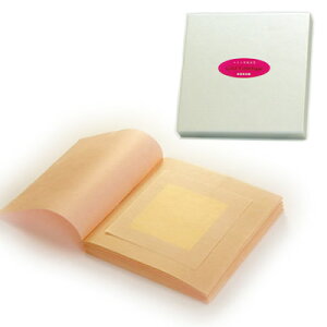 ōEGXep(24K) ubN^Cvu54mmp/100v