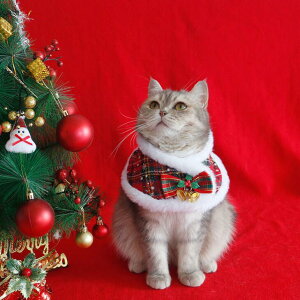 L̃NX}X}g}g}gybg}t[~̕ۉANZT[eL}t[