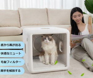 ybg SLp@ ƒp^ LU_ H~̒gۂ