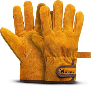 ϔMO[u Lv  o[xL[ AEghApϔM yϔMiz LȂ v ω dXg[u Α n |p Ɨp tz ϐ350