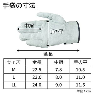 y܂Ƃߔz[3opbN] Ǝ v }WbNe[v LLTCY AG441-3P