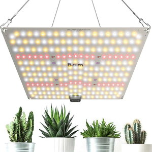 A琬Cg LED pl tXyNg IR/UV  PL-A (1, 45WA65W F)