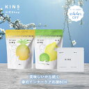 【クーポン利用で44％OFF】【期間限定】 春のインナーケアBOX ビネガープロテイン プロテイン パイナップル風味 レモ…