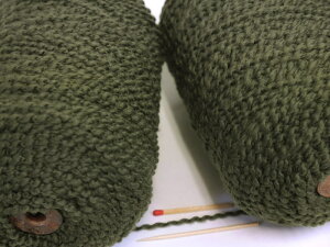 yE[JxiXOjz@ƂĂ炩AƂĂ킢炵юłIyDAҌEюz