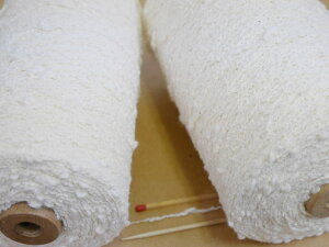 y1^7ȃt[XuiEjz@ۂƂRu킢łyDA҂݌z