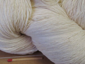 yȃ^R40^2×3ijz@肵ȎT̕ɃIXXBQłƂ肴̎łB