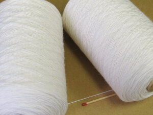 ymE[iFρEjz@̂ȂȂ߂炩ȔGIS21FŃRXgptH[}Xō̖юłIyDAҌEюz