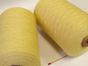 y2^24VNE[iN[jz@肴ōō₳򂪂AՂ̖юŖA[̍iɁIyDAҌEюz