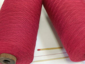 y60^4X[s}ȁiCjz@̗ǂɍׂ̖ȎT̕ɁB