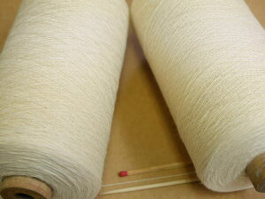 y60^4X[s}ȁiEjz@̗ǂɍׂ̖ȎT̕ɁB