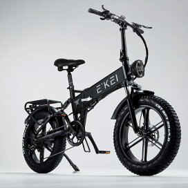 PHILODO 26インチ 電動自転車 ファットバイク26*4.0迫力の極太タイヤ 