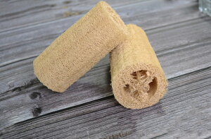 2Zbg VRw`}X|W V[AM􂢗pX|W {fBPA CObY