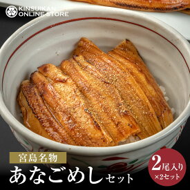 あなごめし セット 2尾入り×2個セット 米2合 　タレ付 広島 宮島 錦水館 一番人気 穴子 穴子飯 ご当地グルメ お取り寄せグルメ お取り寄せ ギフト お土産 名物 名産 贈り物 冷凍弁当 冷凍食品 レンジ調理 冷凍穴子 タレ付 冷凍保存 日本酒 ご褒美
