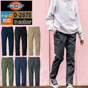 fBbL[Y Dickies ƕ ƒ ƃY{ I[V[Y D-2875 T/CXgb`I[hX^CJ[Spc SS-6L