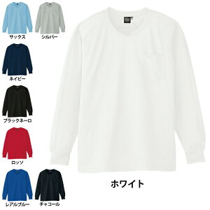 yJXLOXyVN[|zR[RX ƕ t A-668 ⊴zVlbNTVc EL ƒ CO-COS [NEFA Y 