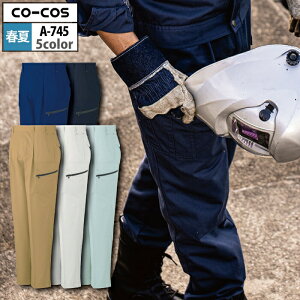 yJXLOXyVN[|zR[RX ƕ t A-745 RۖhLhk^bNtBbVO 88-106 ƒ CO-COS [NEFA Y 