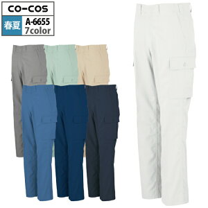 yJXLOXyVN[|zR[RX ƕ t A-6655 GR5IVEX^[m[^bNtBbVO 110-125 ƒ CO-COS [NEFA Y 