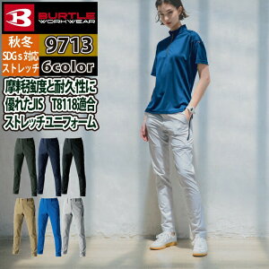 o[g BURTLE ƕ ƒ ƃY{ 2024H~V 9713 pc 5L-6L ƕ  JISKd Y fB[X jZbNX Xgb`