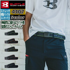 o[g Ɨpi 2025tĐV 4107 Xgb`xg F  I[V[Y Y fB[X jZbNX Xgb`