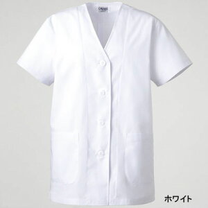 yJXLOXyVN[|zÔ߁E앞 \NG C251 q܂Ȃ  S`4L