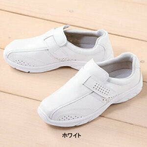 yJXLOXyVN[|zÔ߁E앞 \NG 843 v[xg 22`30