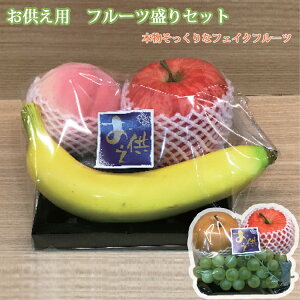  t[cZbg Tv tFCN ʕ  䋟 Tv  ~ C~e[V