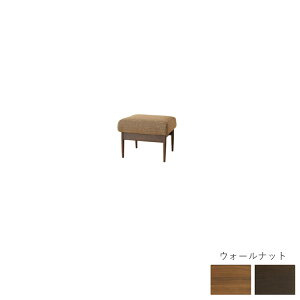 WT101S nB W57×D50×H44cm Xc[ VIOLA BI ˎY