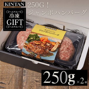hV̓_ЏiTVmXgbvŏЉ^KINTAN yⓀz250gIW{no[O2 Ⓚ no[O Mtg Y \[Xt  zCgf[  Əj wj 