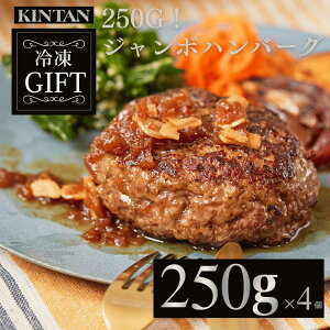 hV̓_ЏiTVmXgbvŏЉ^KINTANyⓀz 250gIW{no[O4@ Ⓚ no[O Mtg Y \[Xt ⓀHi Zbg Mtg ~[Lbg kintan 