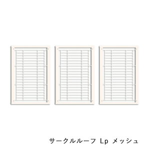 [ T[N[t Lp bV ]ybgT[Np p[c JX^p[c Eh~ ѕ ͂  CeA  ɓ kiinus L[kX { ybgƋ